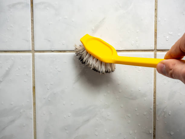 Best Best Mold Removal Companies  in Wellington, UT