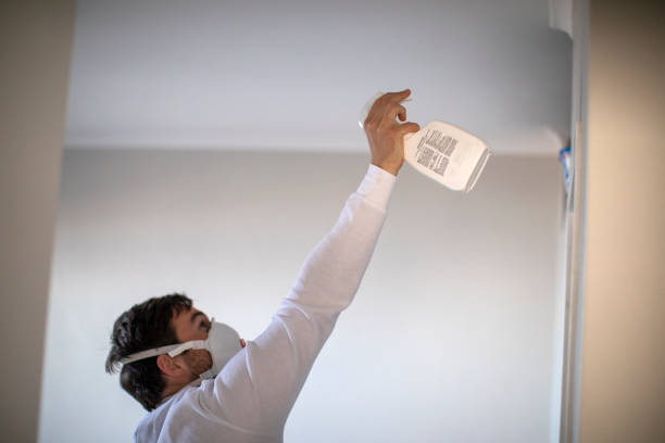 Best Attic Mold Removal  in Wellington, UT