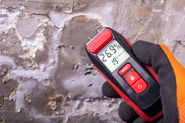 Best Local Mold Removal Service  in Wellington, UT
