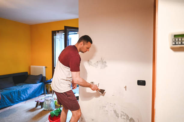 Best Professional Mold Removal  in Wellington, UT