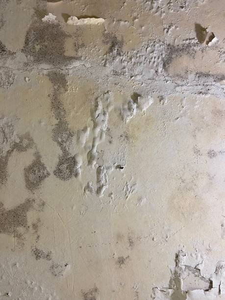 Water Damage Restoration in Wellington, UT